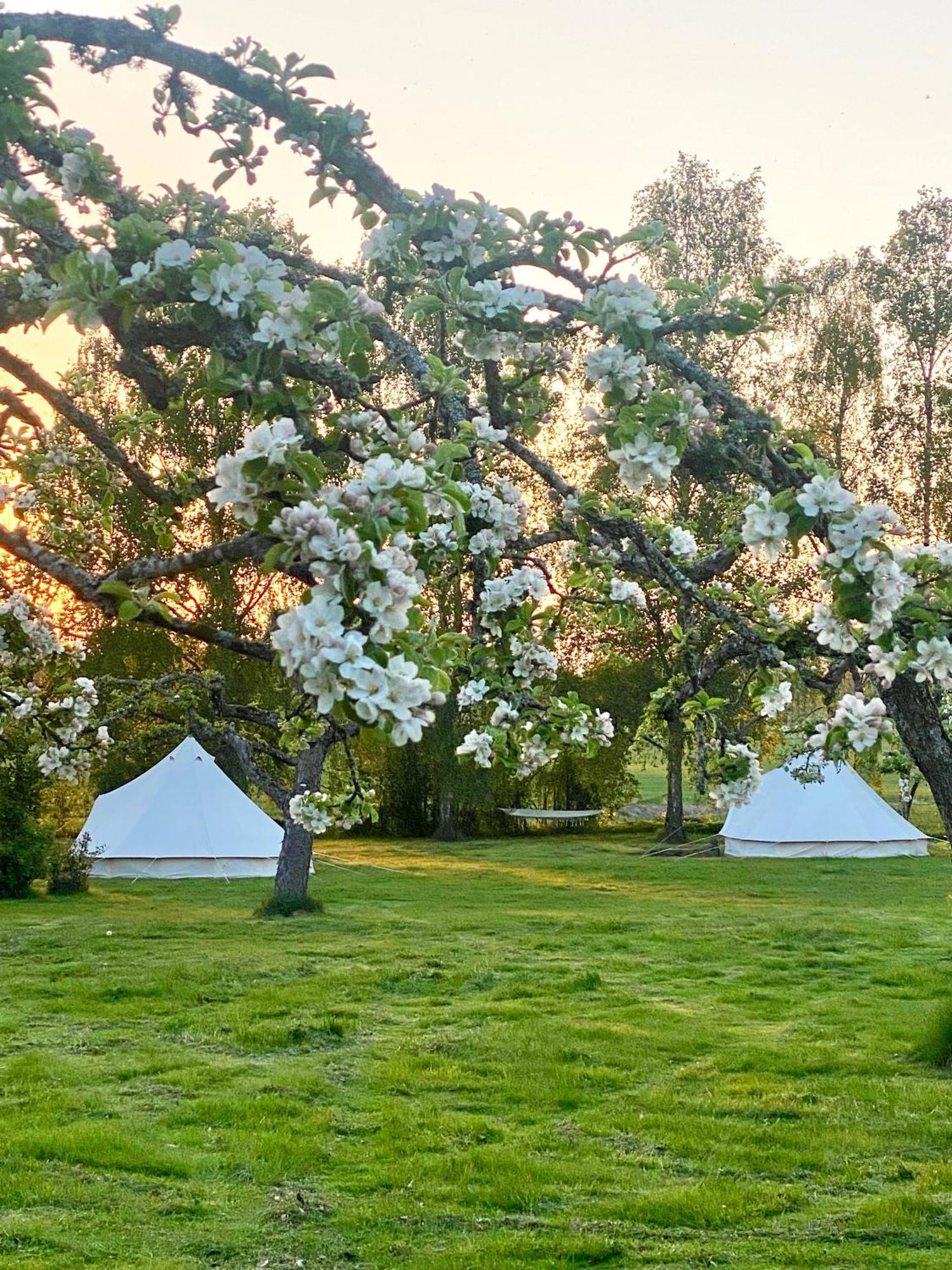 Soerby Glamping Hotell Klockrike Eksteriør bilde